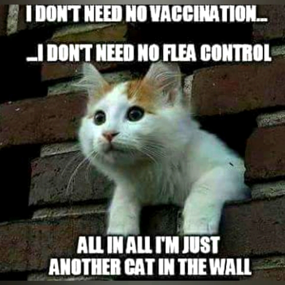 DON'T LET THE CHANGES GET YOU DOWN! ❤️🧡💛💚💙💜 - Picture 9 of 16